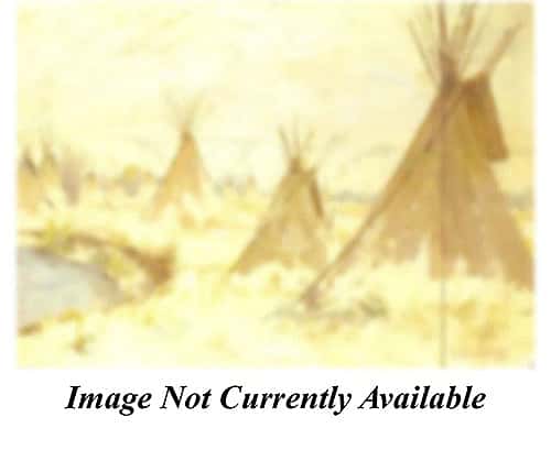 Winter Scene, Little Big Horn, Montana